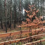 Casa vacanze Grzybowska Osada